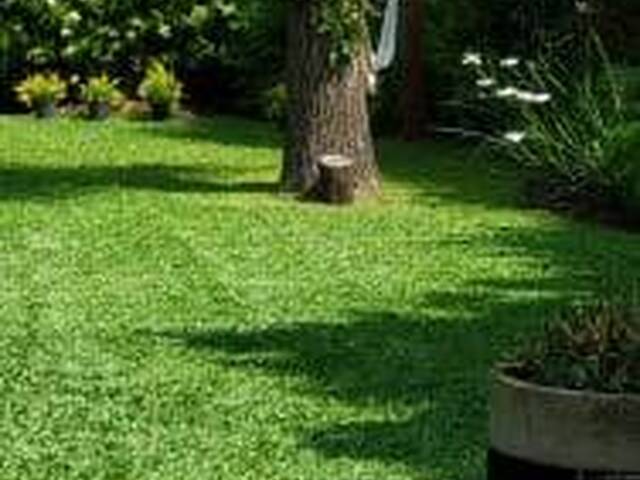 #3 - Terreno Urbano para Venta en San Salvador - San Salvador - 3