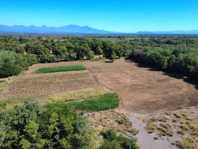 #12 - Isla para Venta en Sonsonate - Sonsonate - 2