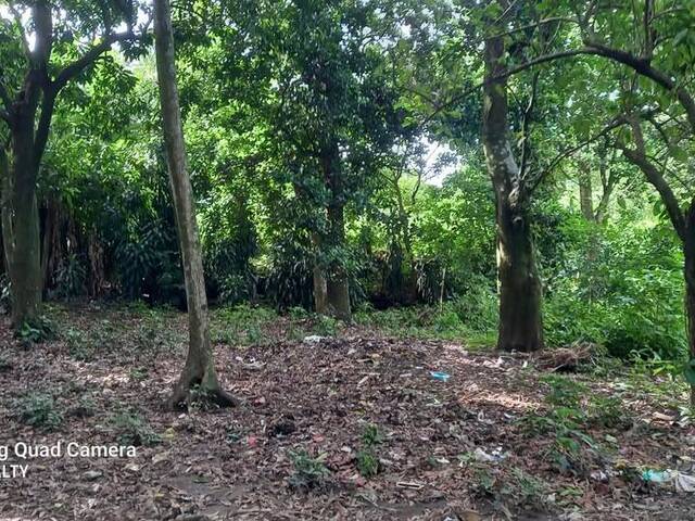 #14 - Isla para Venta en San Salvador - San Salvador - 2