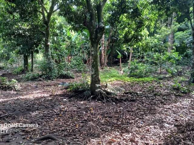Venta en San Ramon - San Salvador
