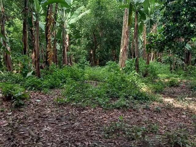 #14 - Isla para Venta en San Salvador - San Salvador - 3